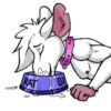 RAT BI CITCH RAT
