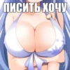ПИСИТЬ ХОЧУ