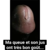 Ma queue et son jus ont très bon goût...