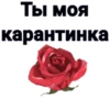 Ты моя карантинка