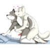 Gay Furry 23