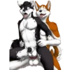 Gay Furry 25