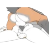 Gay Furry 27