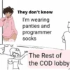 They don't know I'm wearing panties and programmer socks The Rest of the COD lobby