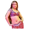Actress hot navel 13