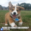 DEIXA EU COMER SUA BUNDA? Sticker.ly