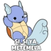 Pokemon Hot 9