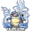 Pokemon Hot 19