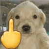Fuck you 🖕💥 22