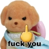 fuck you
