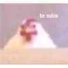 Ando caliente 11