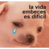 Ando caliente 21