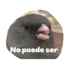 Ando caliente 26