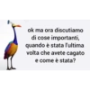 ok ma ora discutiamo
di cose importanti,
quando è stata l'ultima
volta che avete cagato
e come è stata?