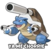 Pokemon Hot 10