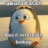 aku adalah bocil intelejen bokep
