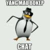 YANG MAU BOKEP AUPAAIC CHAT
