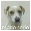 Ando caliente 9