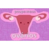 poupe meus
ovários
