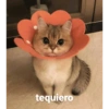 Ando caliente 30
