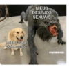 minha cara de inocente MEUS DESEJOS SEXUAIS @saladodesejo