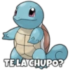 Pokemon Hot 11
