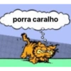 porra caralho