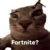 Fortnite?