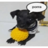 porra