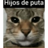 Hijos de puta